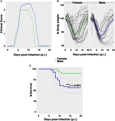 Differential Redox State Contributes to Sex Disparities in the Response to Influenza Virus Infection in Male and Female Mice